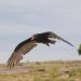 Día Internacional de la Conservación del Suelo
