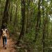 Día Mundial de los Guardas Forestales
