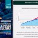 Alimentos marinos, alternativa para reducir el impacto ambiental: especialistas