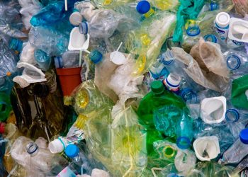 Vinculan compuesto químico a cáncer de mama