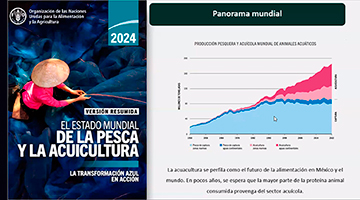Alimentos marinos, alternativa para reducir el impacto ambiental: especialistas