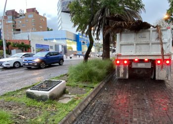 Atiende Gobierno de la Ciudad reportes en distintas zonas por lluvias