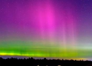 En Oaxaca, impulsa la UNAM construcción de Jardín Geobotánico en Geoparque