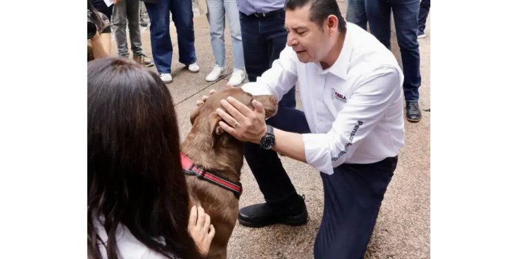 Gobierno de Armenta fortalece protección animal con visión humanista y bioética