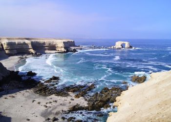 Por Alerta de Tsunami: CONAF cierra 37 áreas protegidas del borde costero de Chile