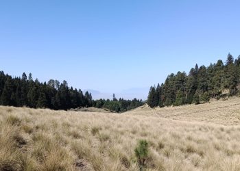 Convocatoria regional para la Restauración Forestal en la cuenca del Río Lerma-Santiago