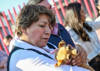 Presenta Gobierno del EdoMex estrategia para atender sobrepoblación de animales callejeros