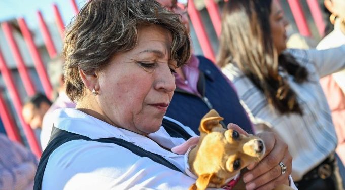 Presenta Gobierno del EdoMex estrategia para atender sobrepoblación de animales callejeros