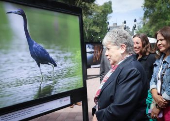 Semarnat y Costa Salvaje inauguran exposición “Agua, biodiversidad y conservación”