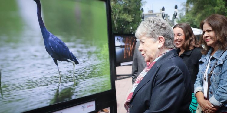 Semarnat y Costa Salvaje inauguran exposición “Agua, biodiversidad y conservación”
