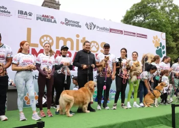 El gobernador Alejandro Armenta impulsa acciones firmes contra el maltrato animal