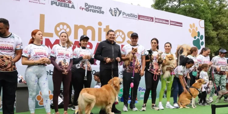 El gobernador Alejandro Armenta impulsa acciones firmes contra el maltrato animal