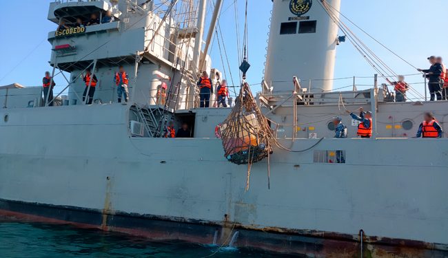 En operativo autoridades federales recuperan dos contenedores de hidrocarburo en Bahía Magdalena; no hubo derrame