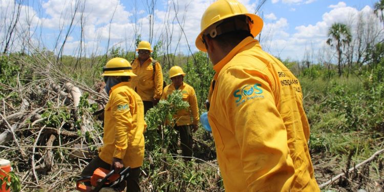 Consolidación de brigada comunitaria de incendios forestales en Los Petenes
