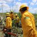 Consolidación de brigada comunitaria de incendios forestales en Los Petenes
