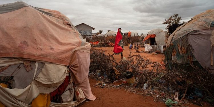 Las sequías son un asesino silencioso