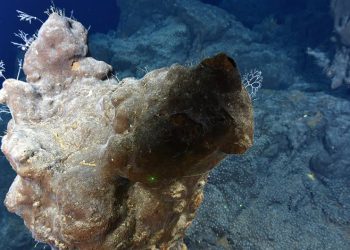 Los fondos marinos no deben convertirse en explotación de minerales raros