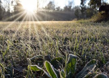 Chile y Argentina, entre los lugares más fríos de la Tierra por el anticiclón polar que azota la región