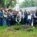 Lanza Gobierno de la Ciudad “Estación Semilla”, talleres gratuitos de huertos urbanos
