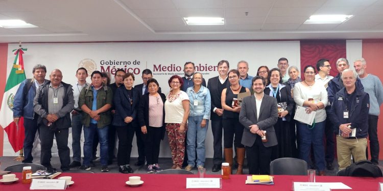 Implementan medidas estratégicas para la protección y conservación de los polinizadores en México