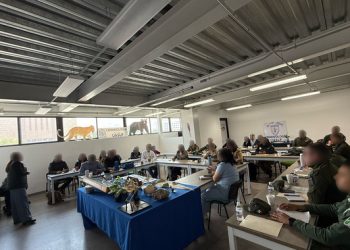 Policía municipal y estatal recibe capacitación sobre delitos ambientales en San Luis Potosí