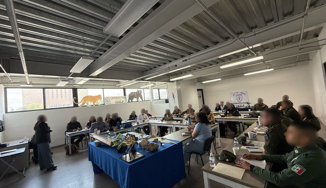 Policía municipal y estatal recibe capacitación sobre delitos ambientales en San Luis Potosí