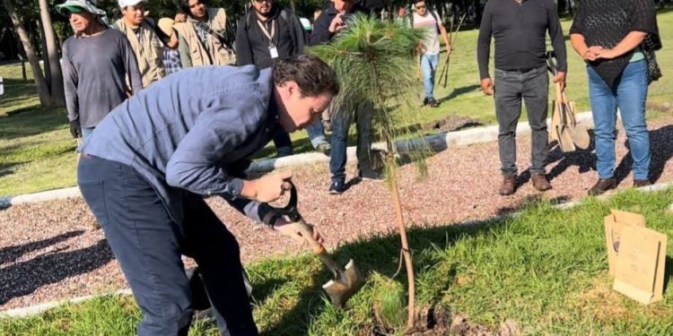 Agua de Puebla contribuye a la recarga de mantos acuíferos con su Programa de Reforestación