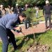 Agua de Puebla contribuye a la recarga de mantos acuíferos con su Programa de Reforestación