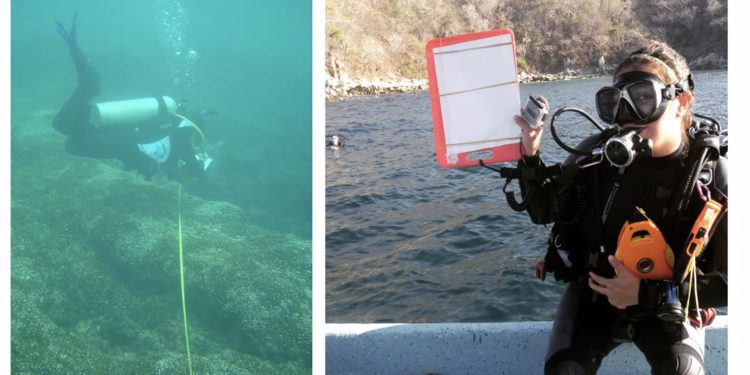 Evidencian beneficios de la conservación, en bahía de Huatulco
