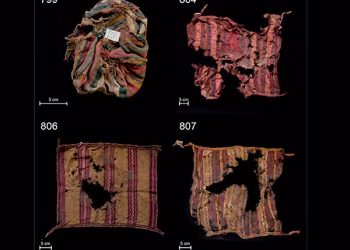 Detectan tintes a base de púrpura de caracol, en textiles del desierto de Atacama