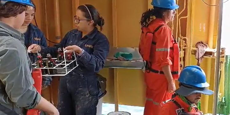 Bacterias serían útiles para descontaminar mar y playas: UNAM