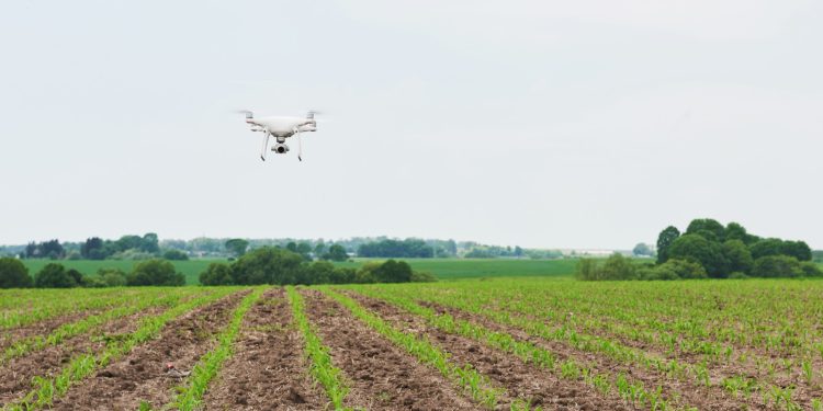 Reforestación con drones: El nuevo combate de incendios forestales