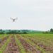 Reforestación con drones: El nuevo combate de incendios forestales