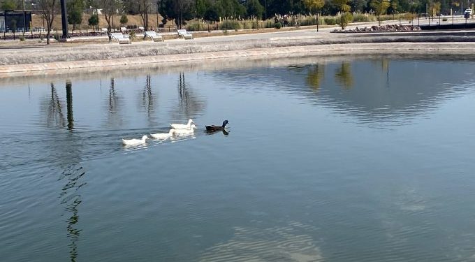 Vive un verano de bienestar entre naturaleza y actividades recreativas en el Parque Atlacomulco