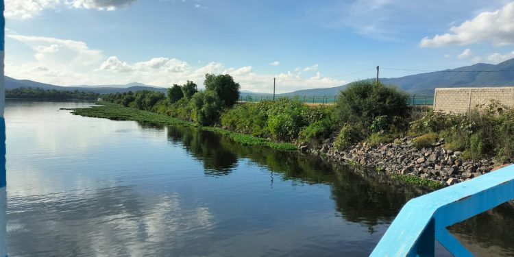 lluvias incrementa nivel promedio de las 210 presas más importantes del país: CONAGUA