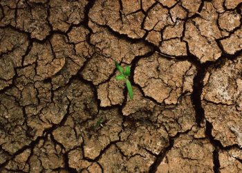 El cambio climático empujará a casi seis millones de niños y jóvenes a la pobreza en América Latina