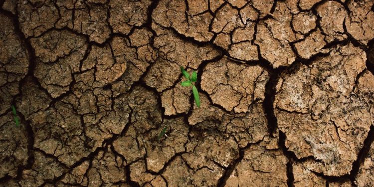 El cambio climático empujará a casi seis millones de niños y jóvenes a la pobreza en América Latina