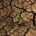 El cambio climático empujará a casi seis millones de niños y jóvenes a la pobreza en América Latina