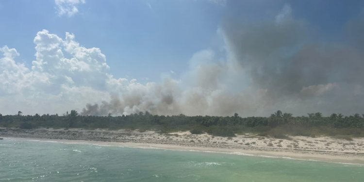 CONAFOR atiende incendio forestal en Holbox