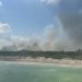 CONAFOR atiende incendio forestal en Holbox