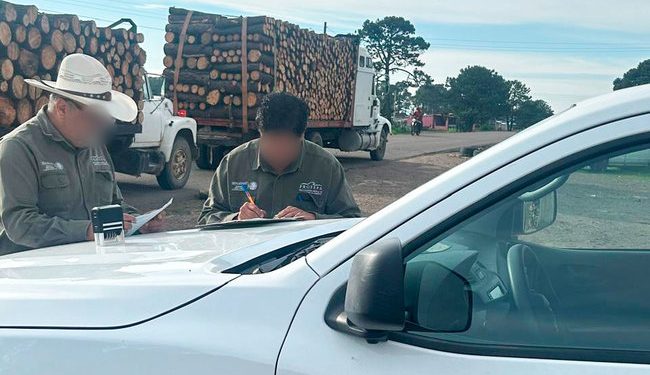 Profepa coordina operativo en 26 entidades, para reforzar el combate a la tala ilegal