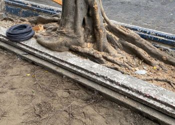 Recuperación de espacio público en el Centro Histórico: Gobierno de la Ciudad