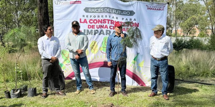 Gobierno de la Ciudad impulsa una Puebla más verde: 520 árboles fortalecen áreas verdes