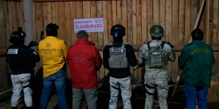 Profepa clausura y desmantela aserradero y asegurá madera, maquinaria y vehículos en Huitzilac, Morelos