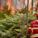 Portugal decreta estado de alerta debido al calor extremo