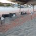 Inauguran primer Campamento Tortuguero “Tata Meza” en el Alto Golfo de California y Delta del Río Colorado
