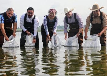 Impulsa Secretaría del Campo EdoMex acuacultura en Jilotepec