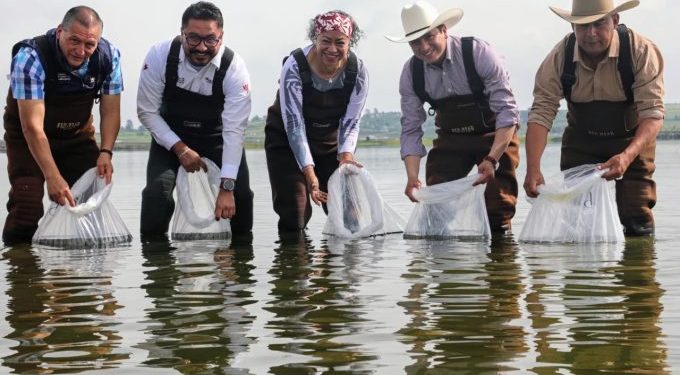 Impulsa Secretaría del Campo EdoMex acuacultura en Jilotepec