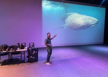 CONABIO invita a cerrar estas vacaciones con un “verano de aventuras y naturaleza”