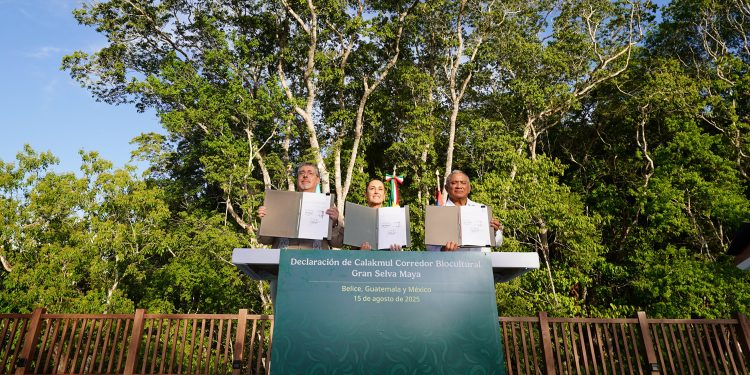 México, Guatemala y Belice crean Corredor Biocultural de la Gran Selva Maya